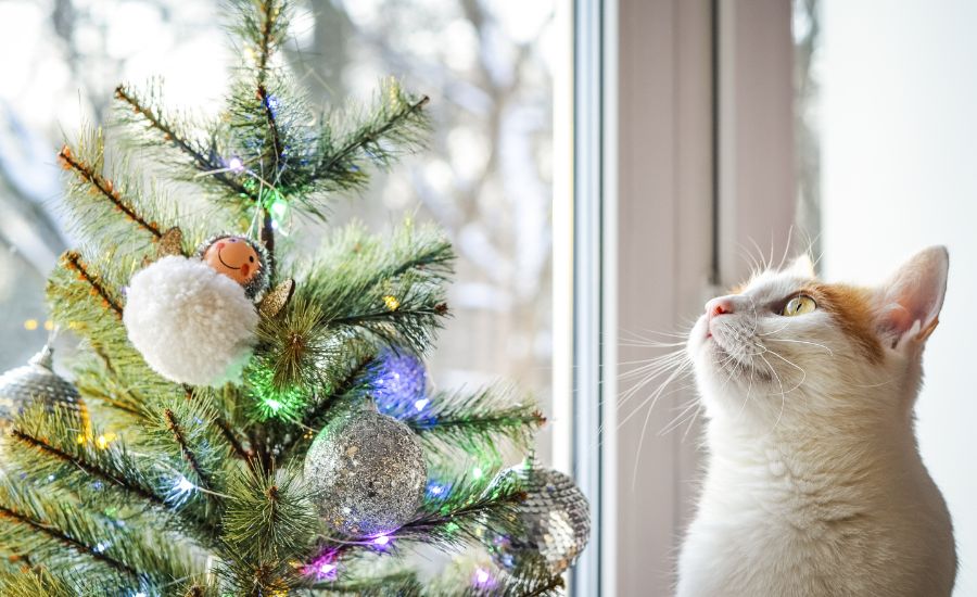 How To Keep a Cat Out of a Christmas Tree - Supakit