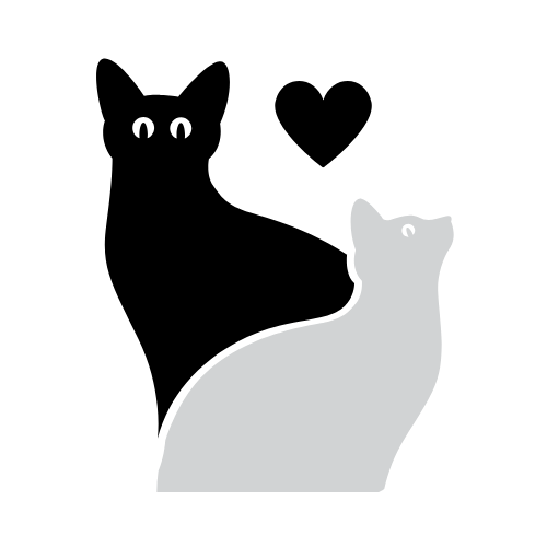 Connect with learners