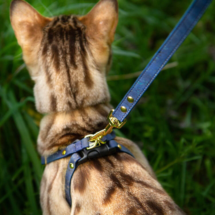 Blue Cat Harness - Supakit - Blueberry Cork #style_blueberry-vegan-cork