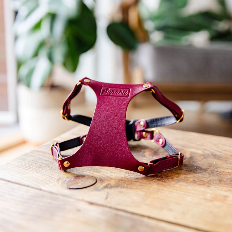 Cat Harness and Leash - Supakit - Burgundy #style_burgundy-leather