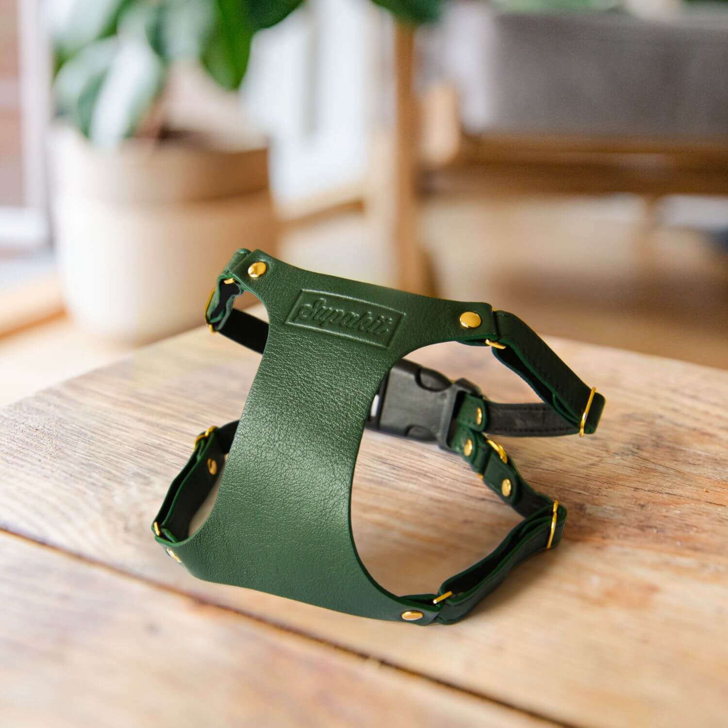 Cat Harness and Leash - Supakit - Emerald Green #style_emerald-green-leather