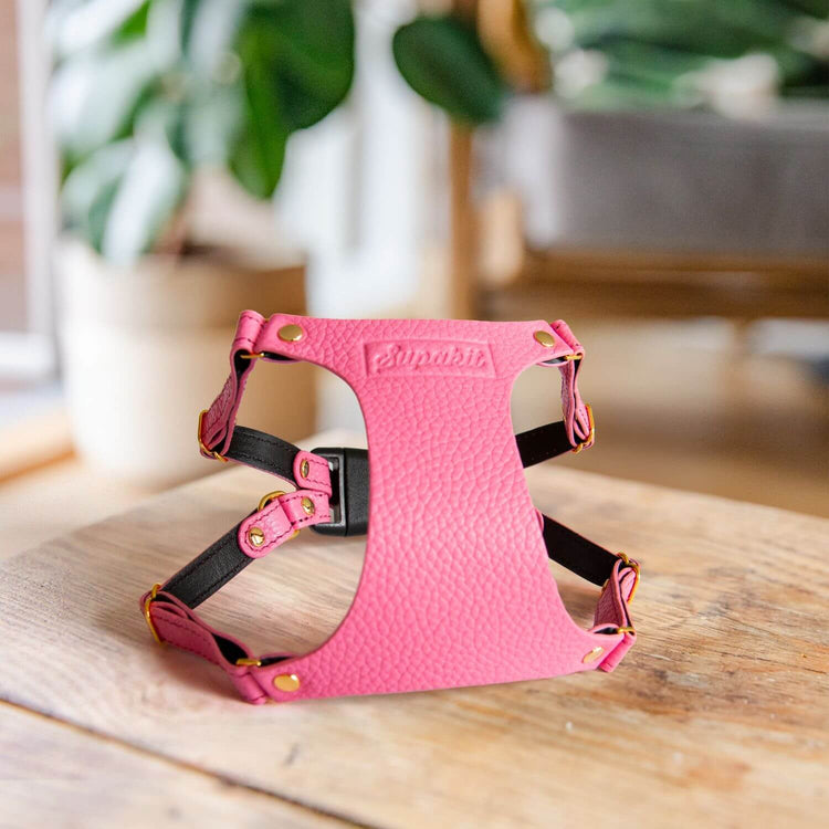 Cat Harness and Leash - Supakit - Rose Pink #style_rose-pink-leather