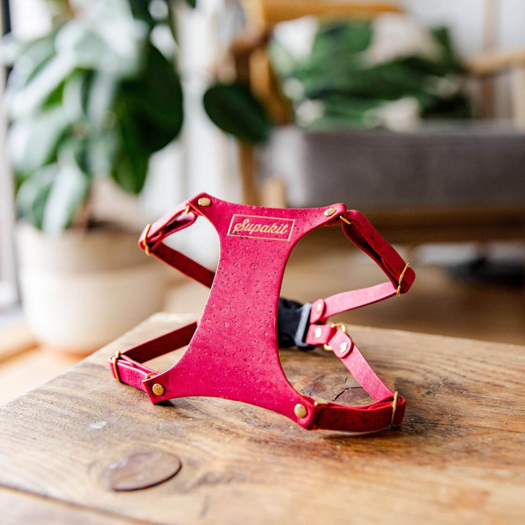 Cat Harness and Leash - Supakit - Strawberry Pink #style_strawberry-vegan-cork