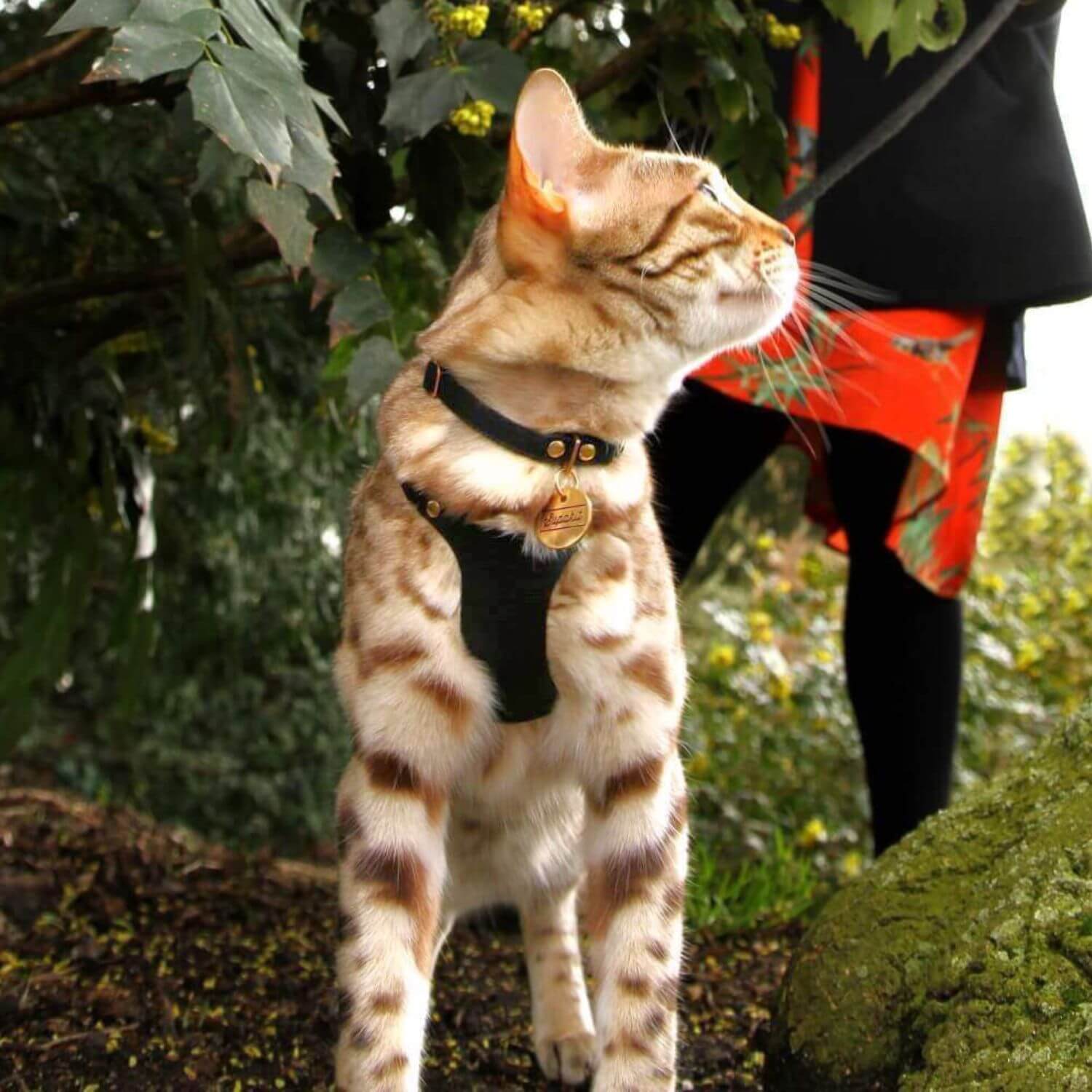 Cat ID Tag - Supakit #engraving_two-sided