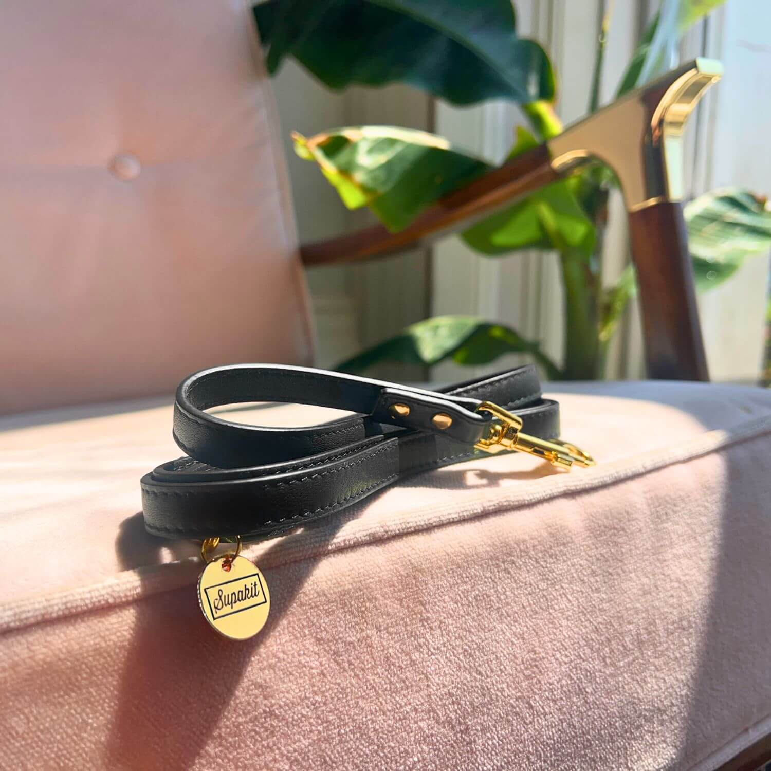 Cat Lead #style_black-leather