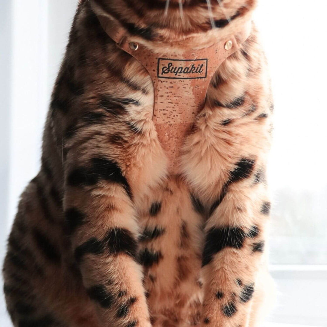 Kitten Harness and Lead - Supakit #style_natural-vegan-cork