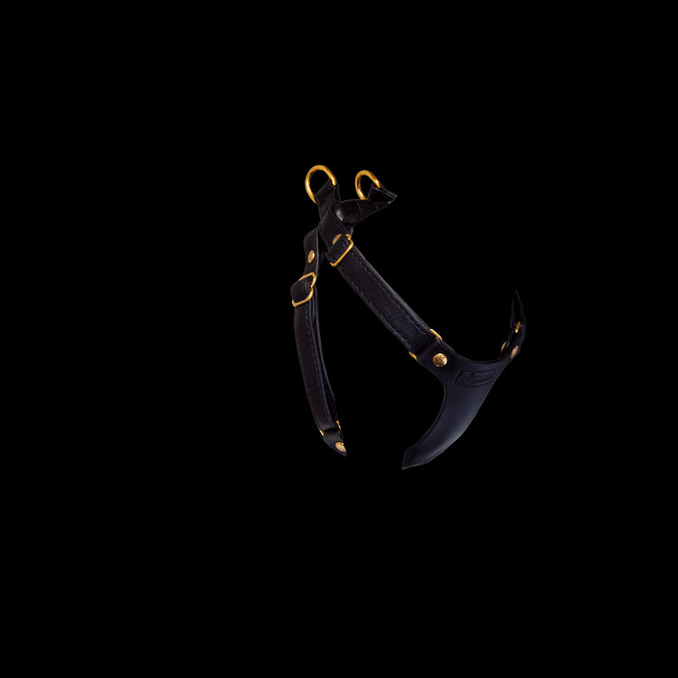 Leather Cat Harness - Supakit - Black #style_black-leather