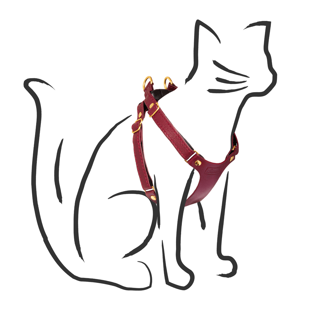 Leather Cat Harness - Supakit - Burgundy #style_burgundy-leather