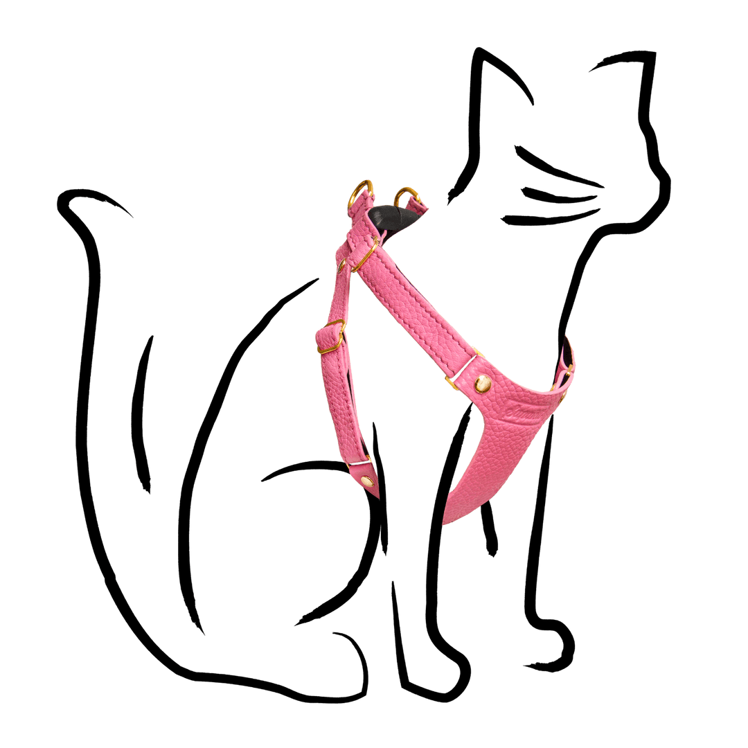 Leather Cat Harness - Supakit - Rose Pink #style_rose-pink-leather