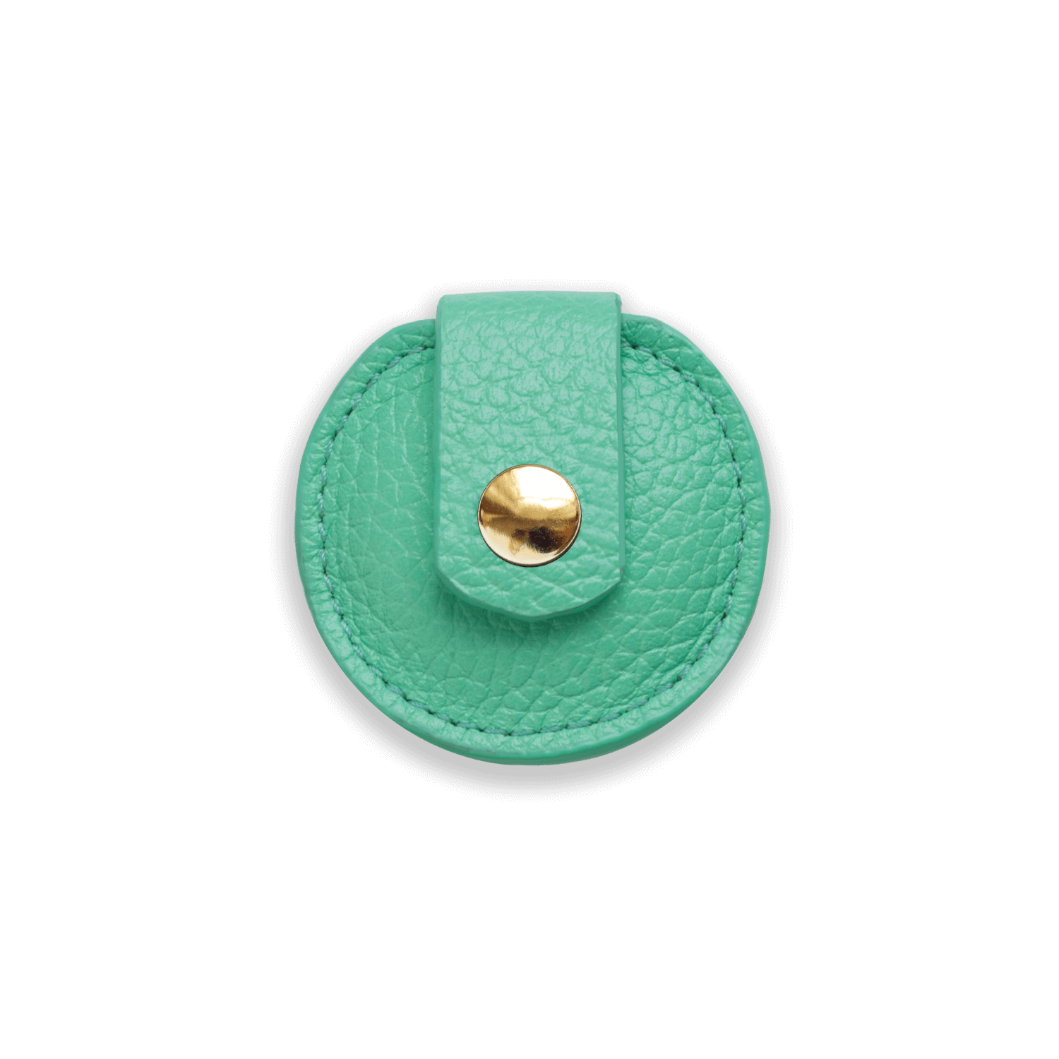 Leather Airtag Holder for Cats #style_mint-green-leather