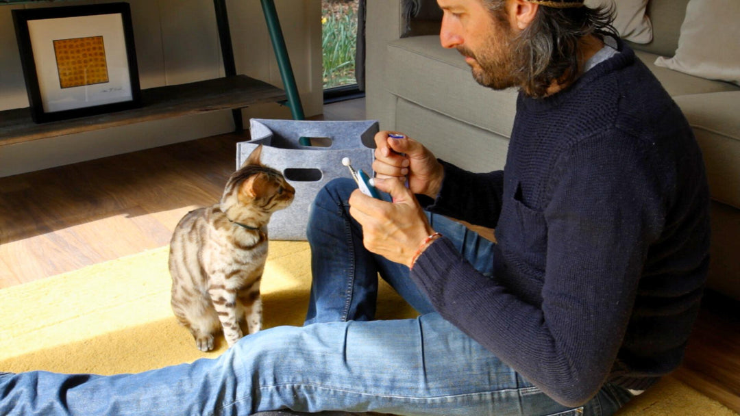 Module 1: Preparing To Train Your Cat