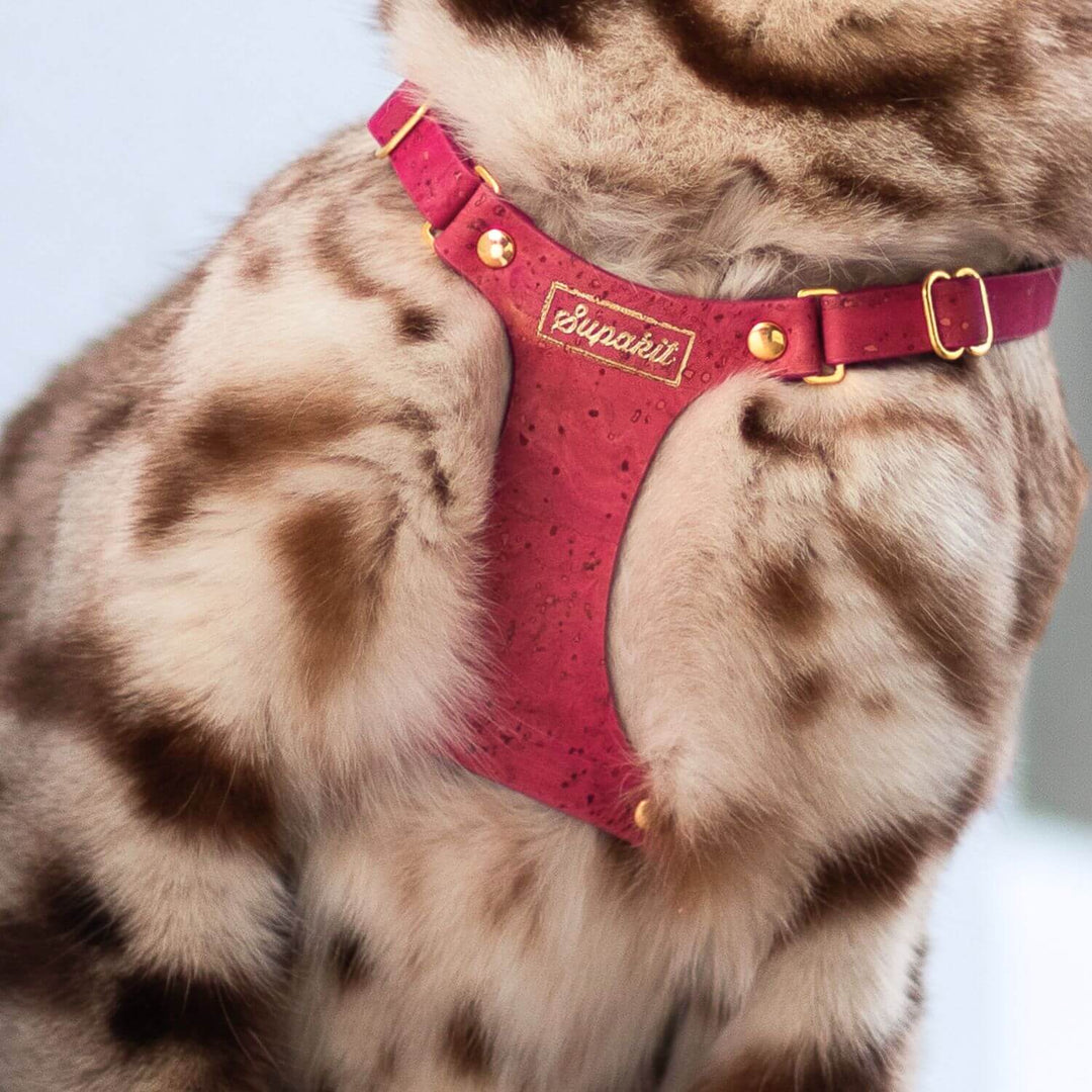 Strawberry Pink Cat Harness and Lead - Supakit #style_strawberry-vegan-cork