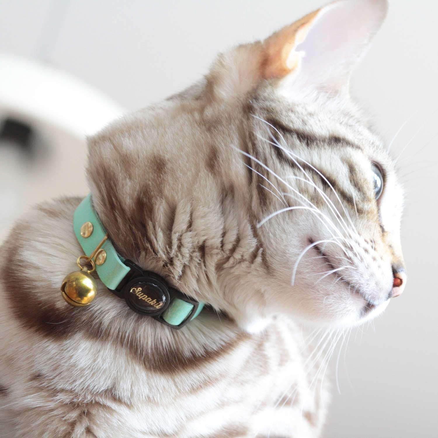 Bells for pet collars - adult cat size