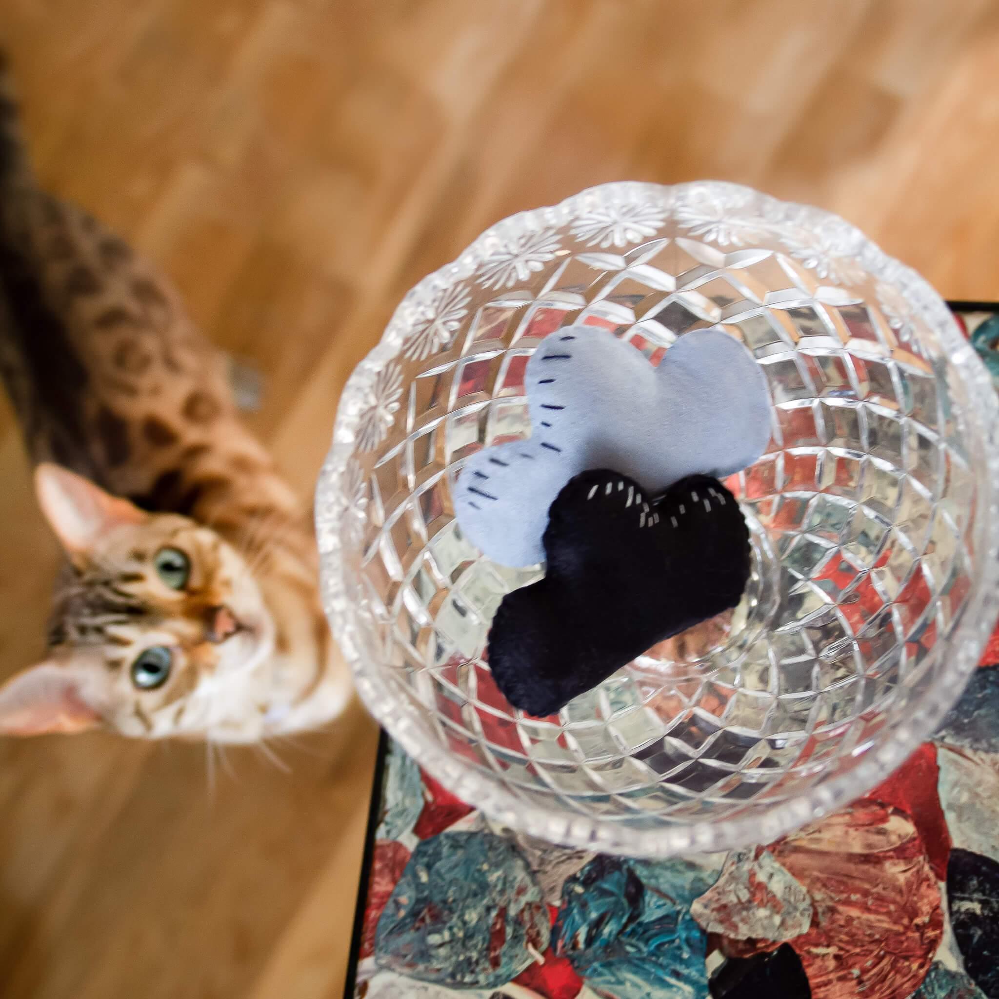Catnip Toys For Cats #design_cloud