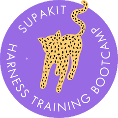 10 Day Harness Training Bootcamp