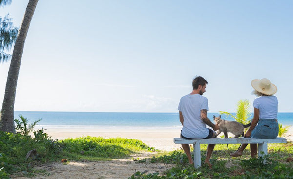 Full-time van life with a rescue cat