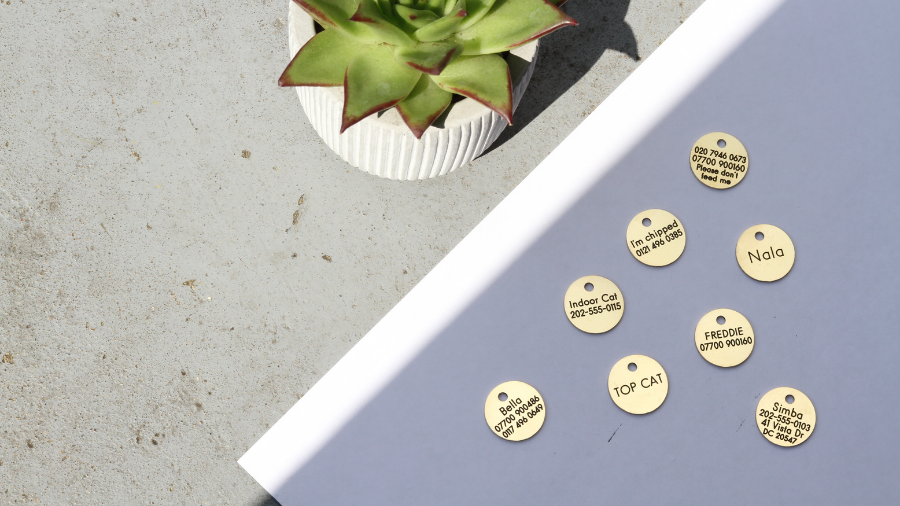 What information should you put on your cat's ID tag?