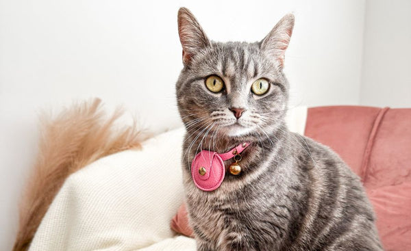 Airtag Cat Collar