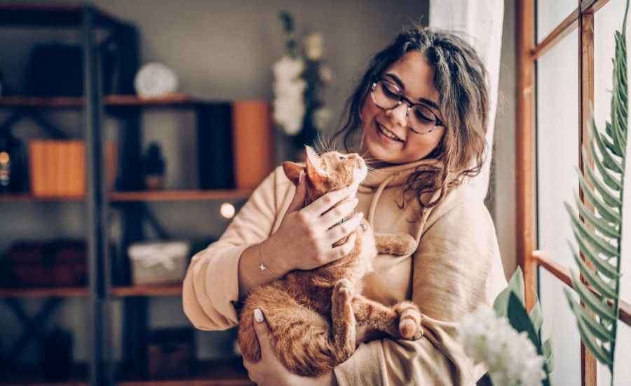 Bringing an outdoor cat indoors