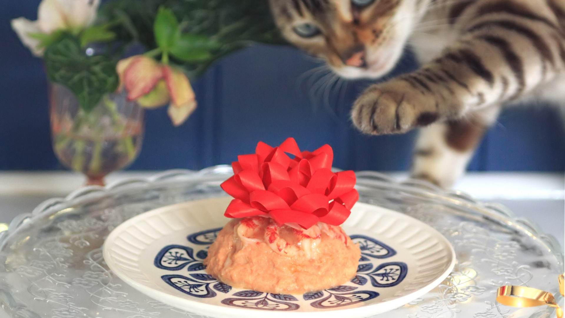 Cooking for your cat: Cat birthday cake recipe 