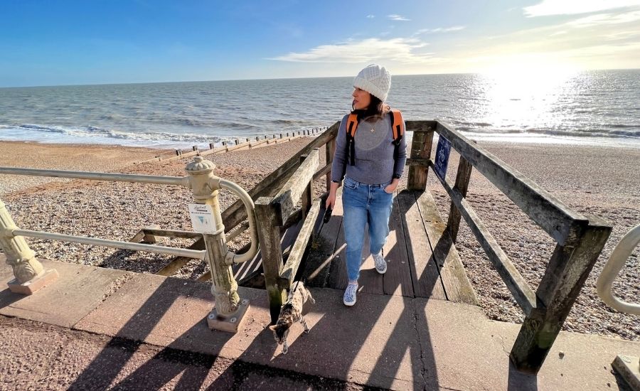 Find Cat Friendly Places Near Me - The Supakit Cat Map