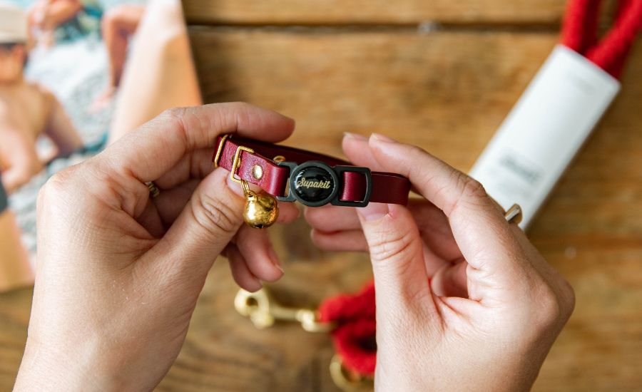 Supakit breakaway buckle leather collar