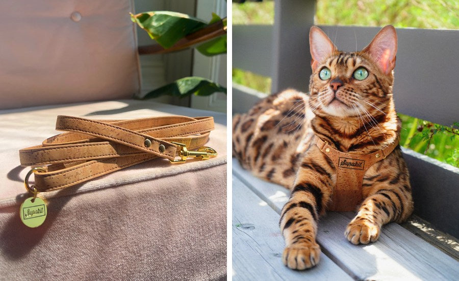 The Supakit Cork Cat Harness and Lead Set