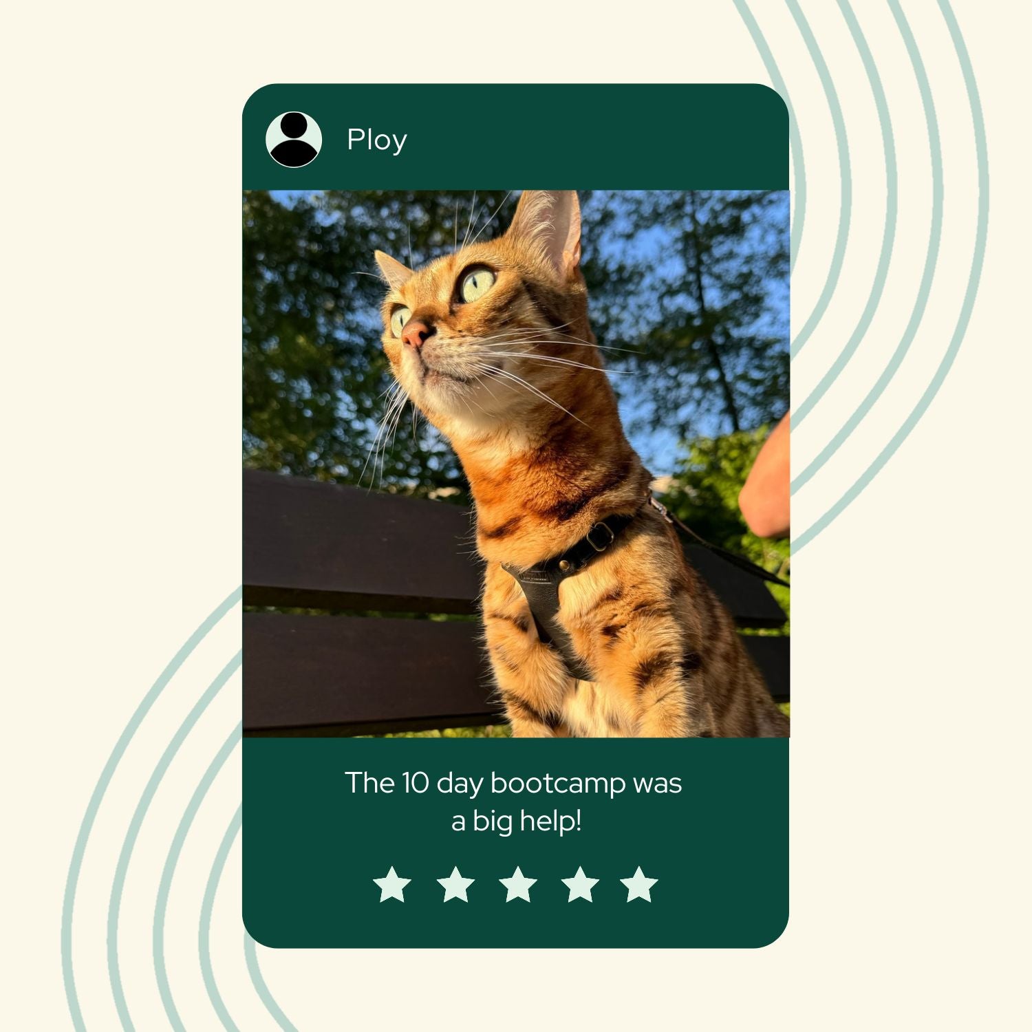 FREE 10 Day Harness Training Bootcamp