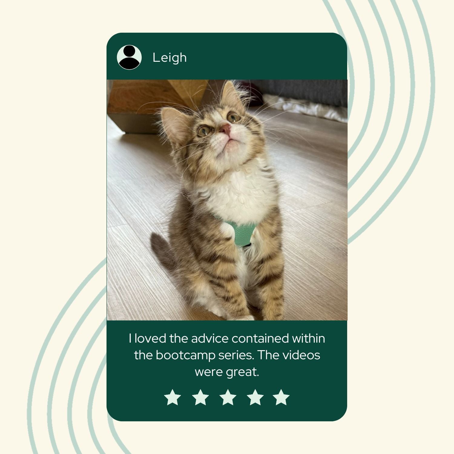 FREE 10 Day Harness Training Bootcamp