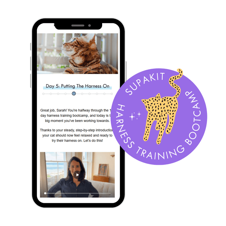 Learn how to put your cat's harness on