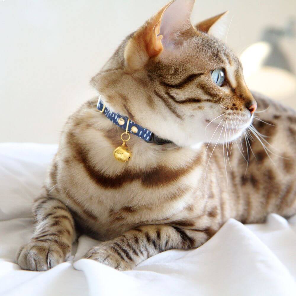 Breakaway Cat Collar - Supakit - Blue Spotted #style_blue-spotted-textile