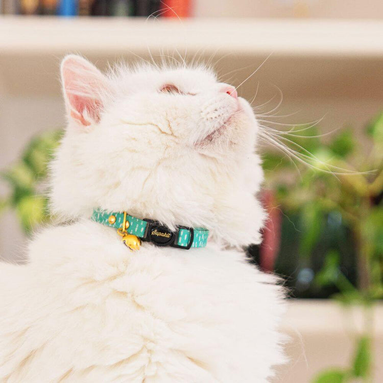 Breakaway Cat Collar - Supakit - Green Spotted #style_green-spotted-textile