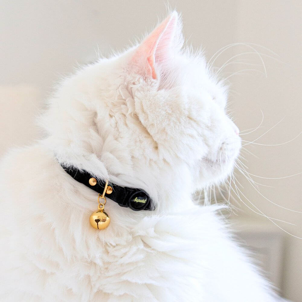 Cat Collars With Bells - Supakit #style_black-leather