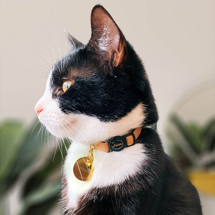 Cat Identity Tag - Supakit #engraving_one-sided-with-logo