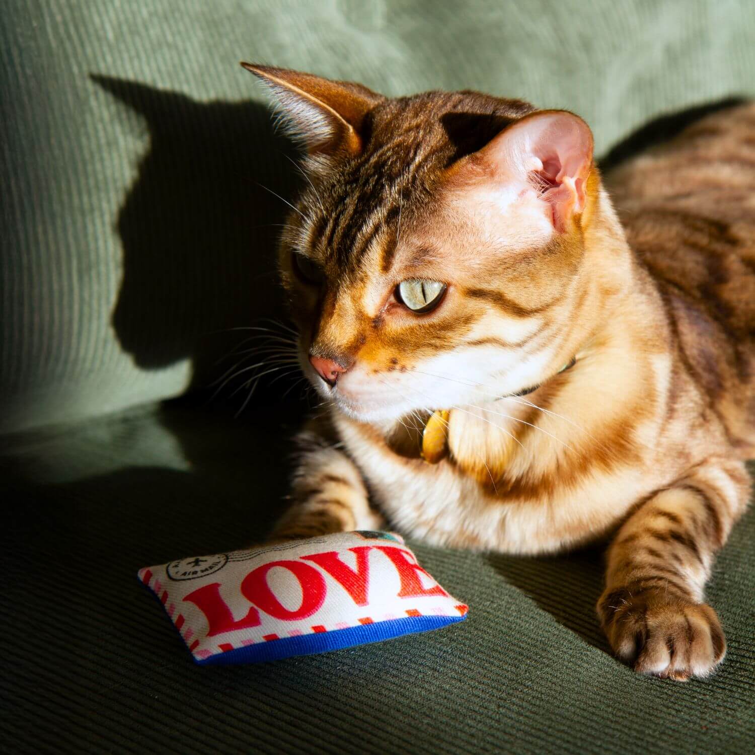 Cat Toy With Catnip