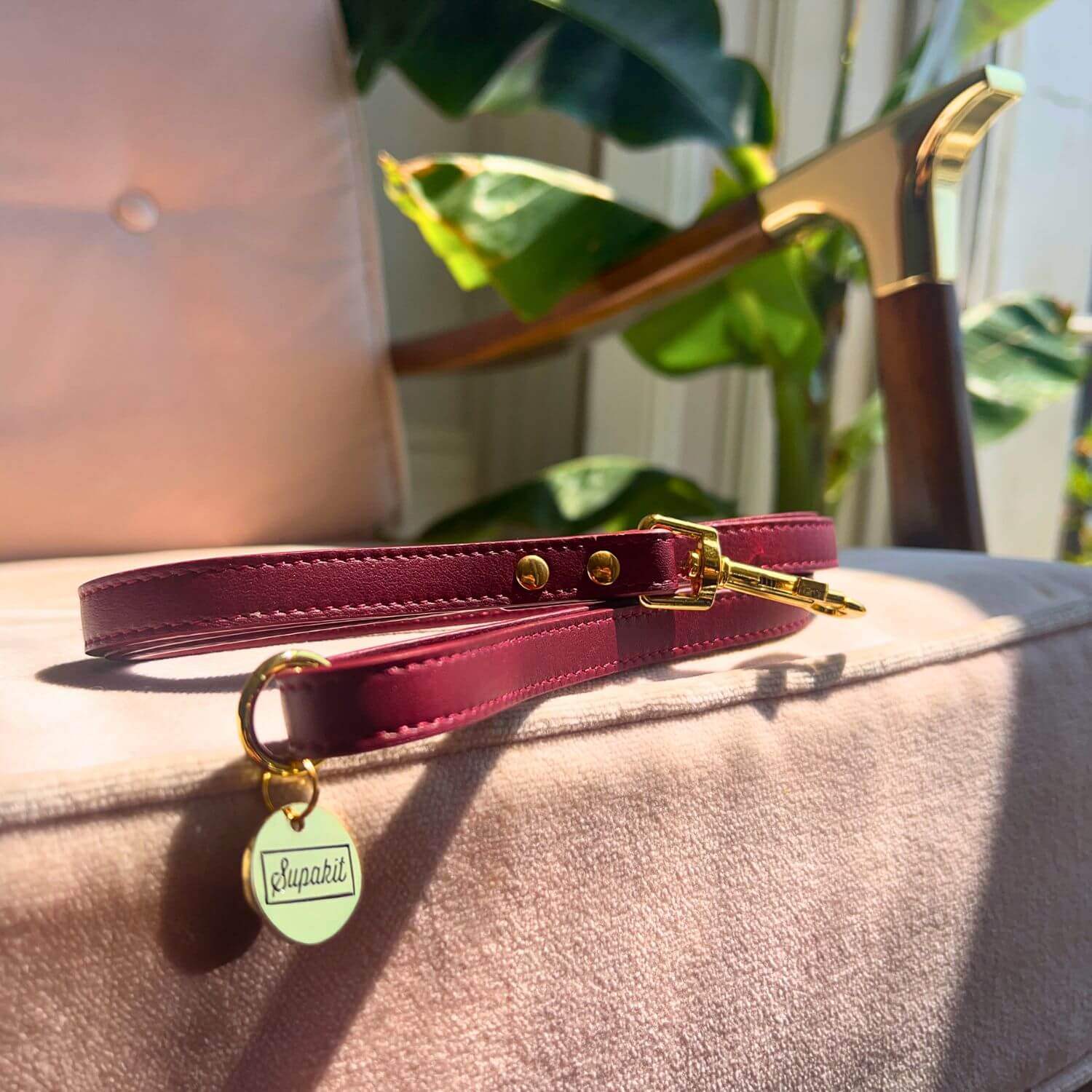 Cat Lead #style_burgundy-leather