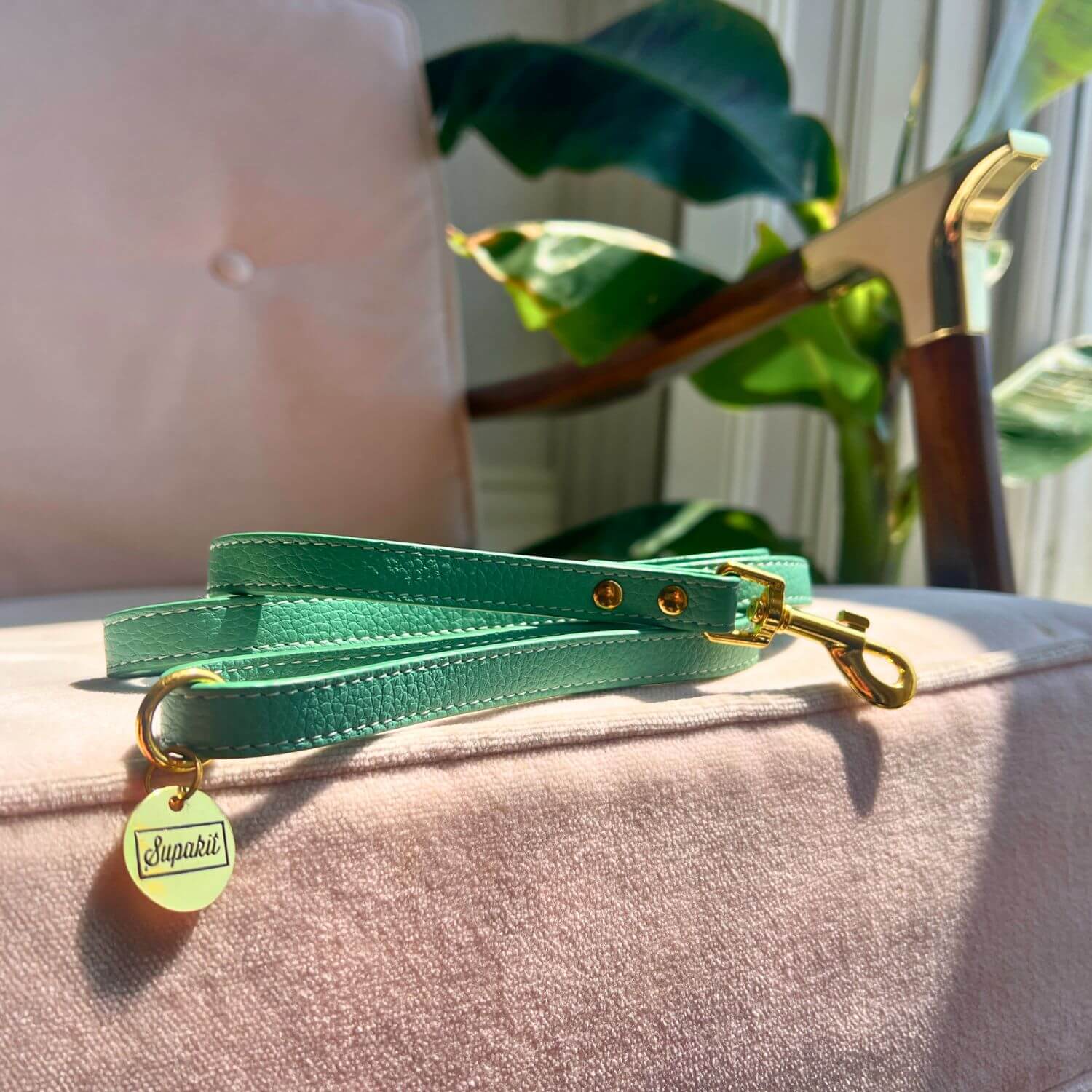 Cat Lead #style_mint-green-leather