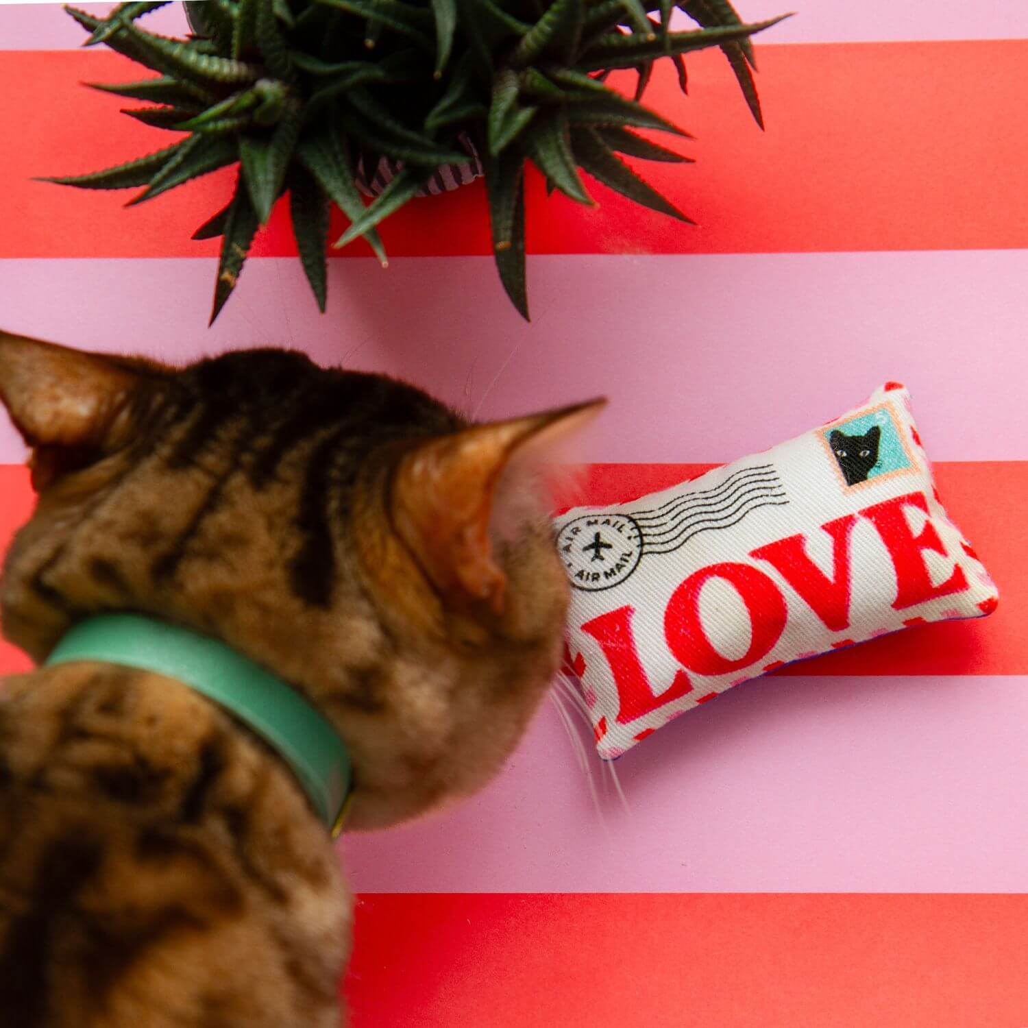 Catnip Toy UK - Love Letter