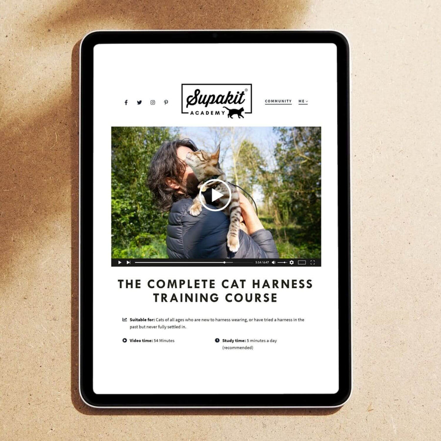 The Complete Cat Harness Training Course by the Supakit Academy