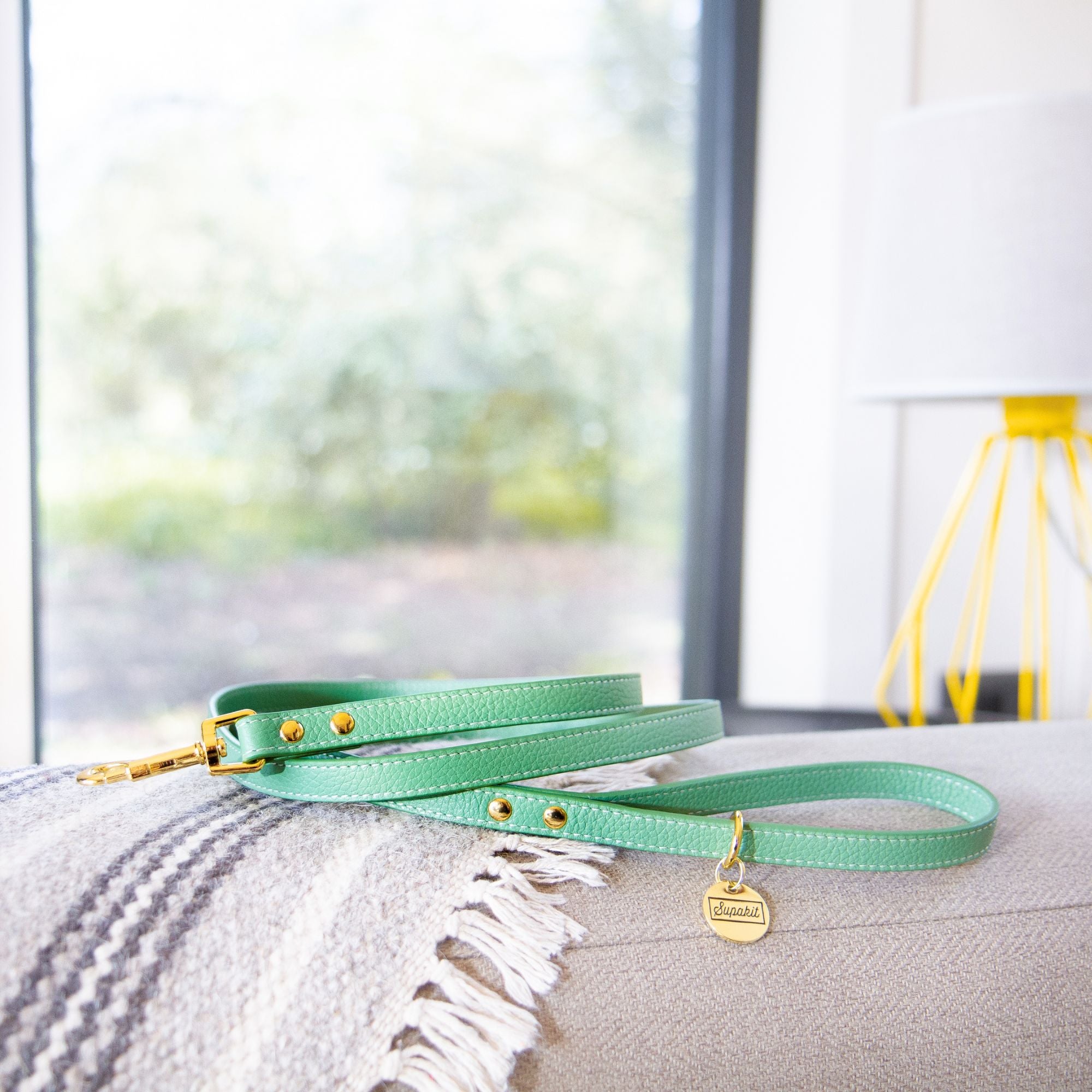 Extra Small Dog Leash - Mint Green Leather - Supakit