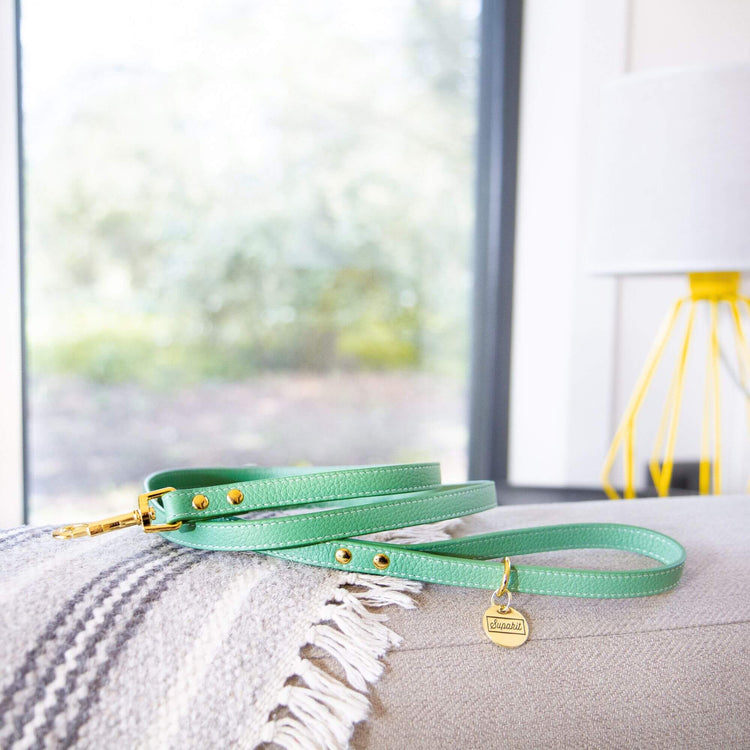 Extra Small Dog Leash - Supapup #style_mint-green-leather