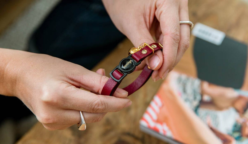 What is a Breakaway Cat Collar?