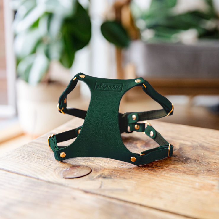 Leather Cat Harness - Emerald Green - Lifestyle -Supakit