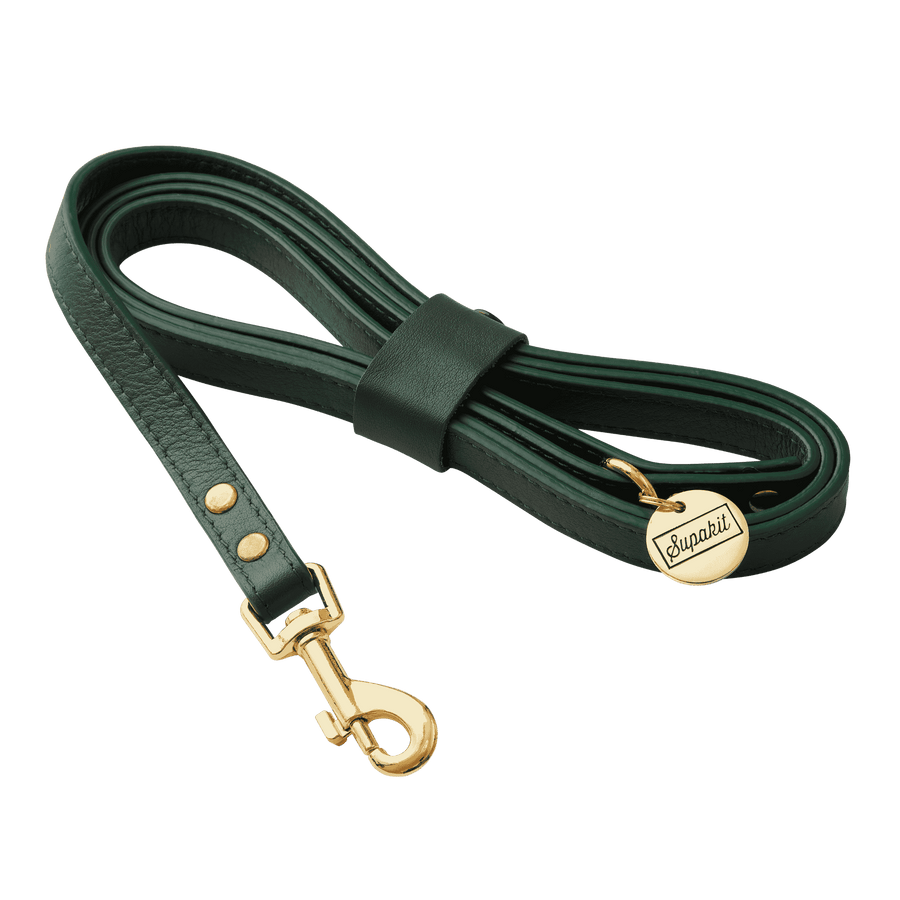 Leather Cat Leash - Supakit #style_emerald-green-leather