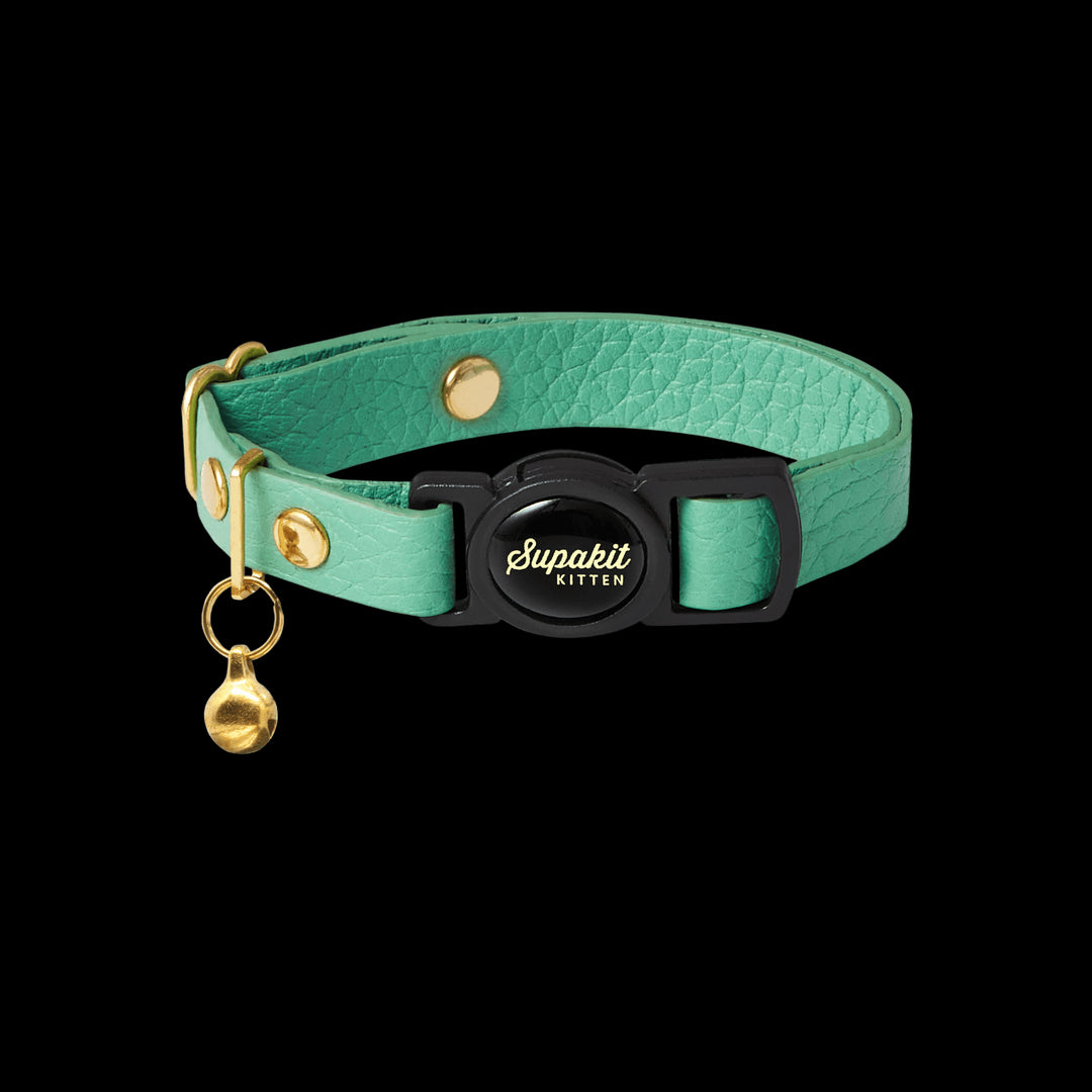 Leather Kitten Collars - Supakit - Mint Green #style_mint-green-leather