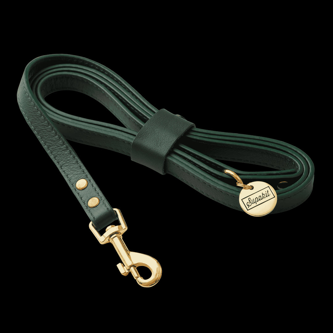 Leather Small Dog Leash - Supapup #style_emerald-green-leather