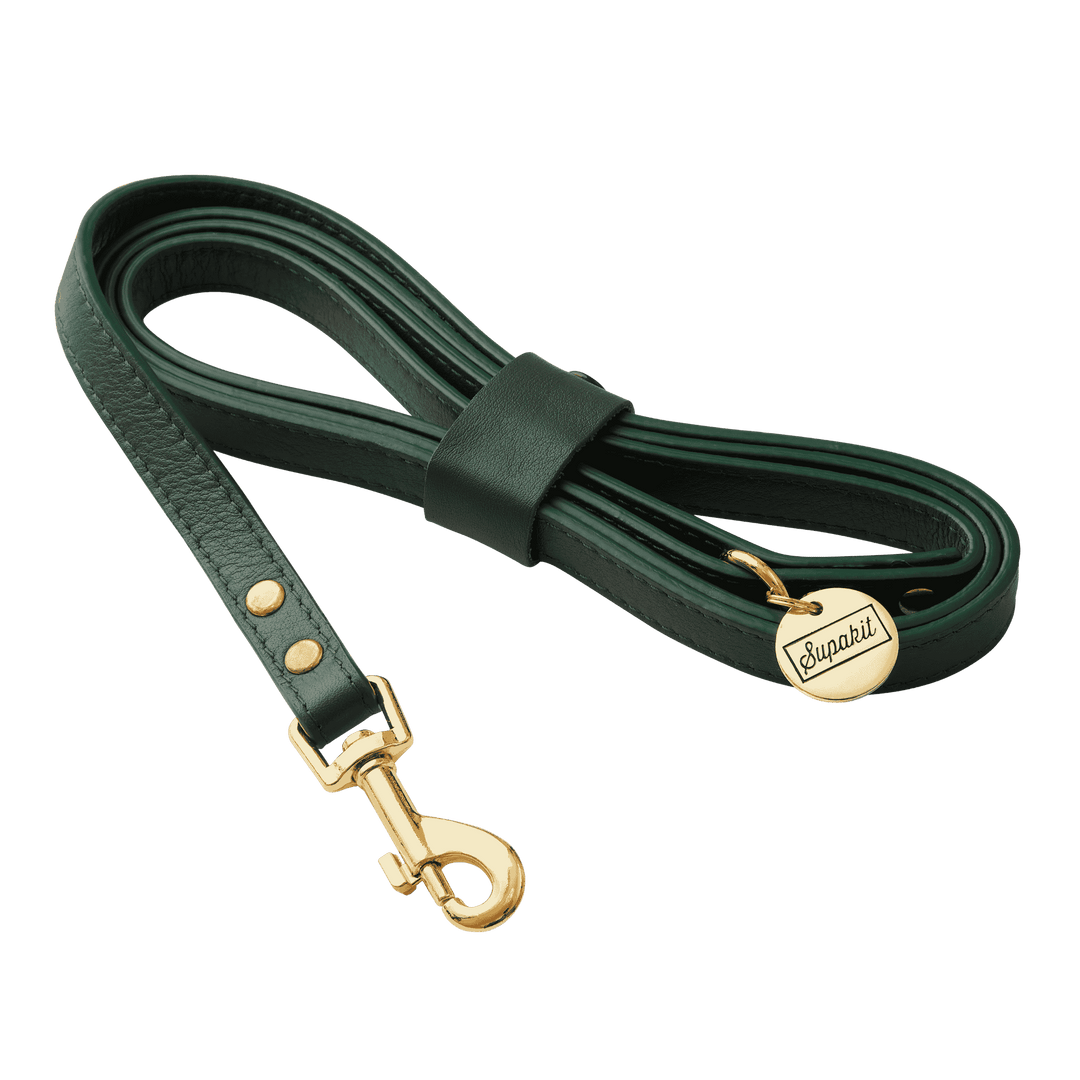 Leather Small Dog Leash - Supapup #style_emerald-green-leather