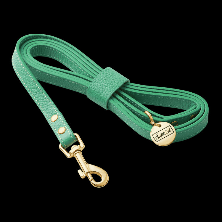 Leather Small Dog Leash - Supapup #style_mint-green-leather