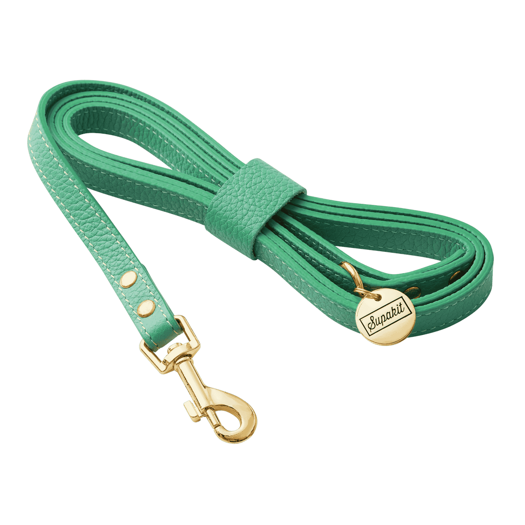 Leather Small Dog Leash - Supapup #style_mint-green-leather