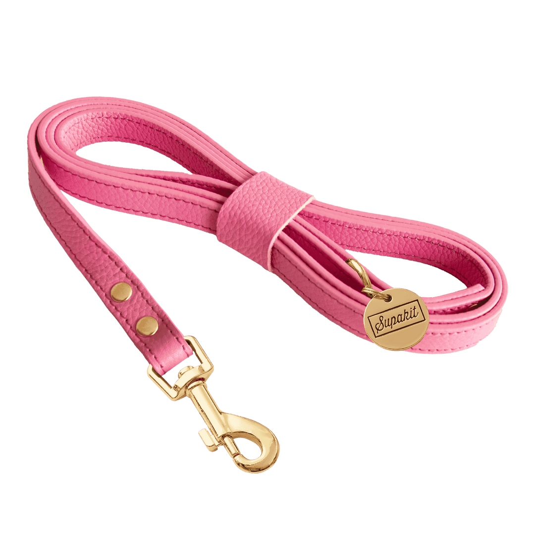 Leather Small Dog Leash - Supapup #style_rose-pink-leather